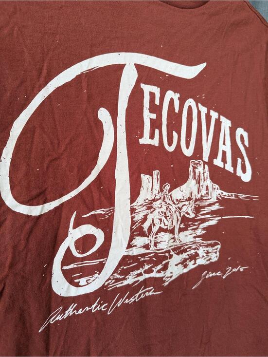 Tecovas Mens Small Rust Red Pima Cotton Graphic Tee Austin Texas Western Shirt - Picture 3 of 7
